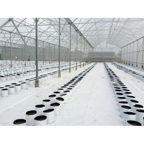 BẠT TRẢI NỀN NHÀ MÀNG